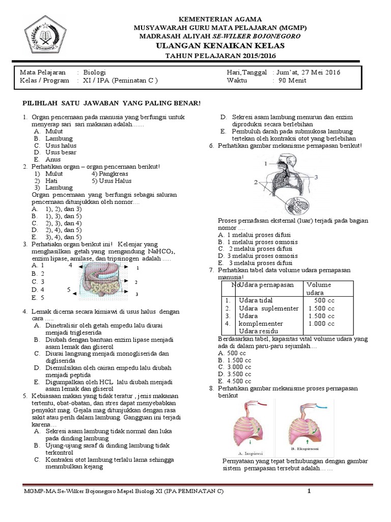 Wajib Tahu! Download pdf soal ukk biologi kelas 11 semester 2 dan jawabannya Sekarang
